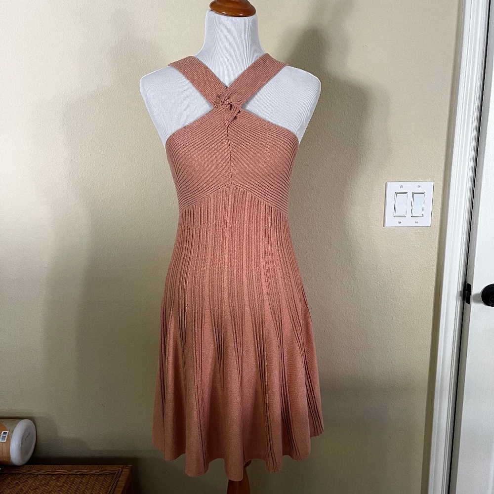 Brand New Express Dress